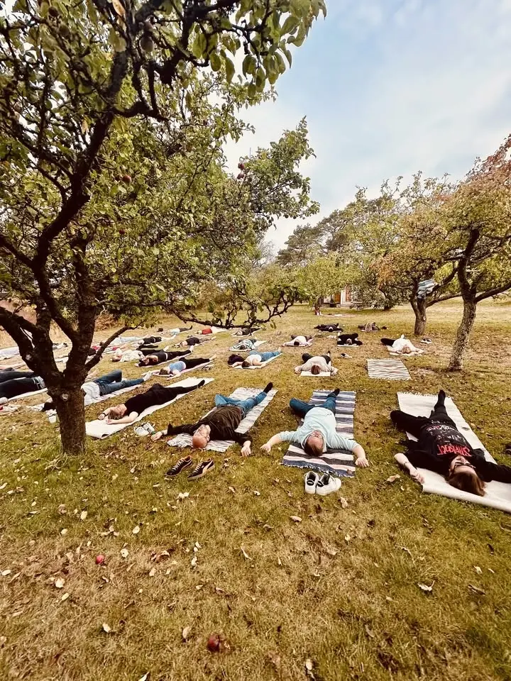 Morgonyoga på Allans 