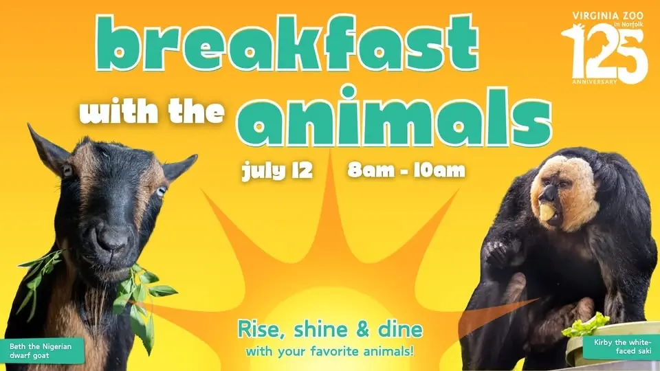 Breakfast with the Animals