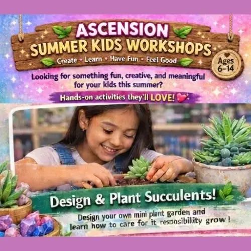 Design & Plant Succulents - Summer Workshop