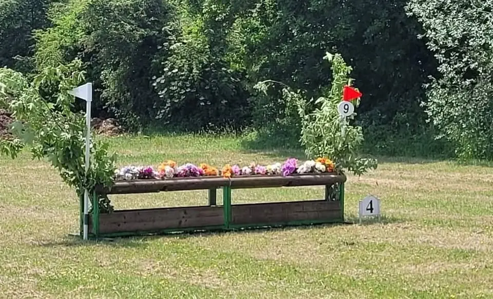 Arena Eventing/Derby Show