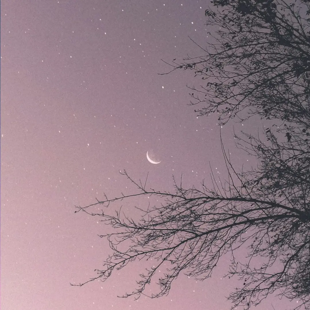 DEAR MOON, DEAR ME