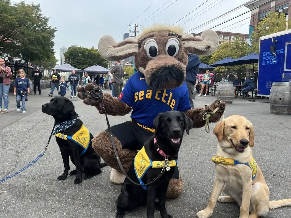 DogFest Seattle