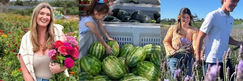 Oceanside's Watermelon & Lavender Festival @ Mellano Farm Stand