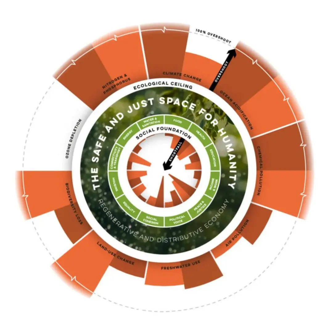Ideas We Need for the Future: Doughnut Economics