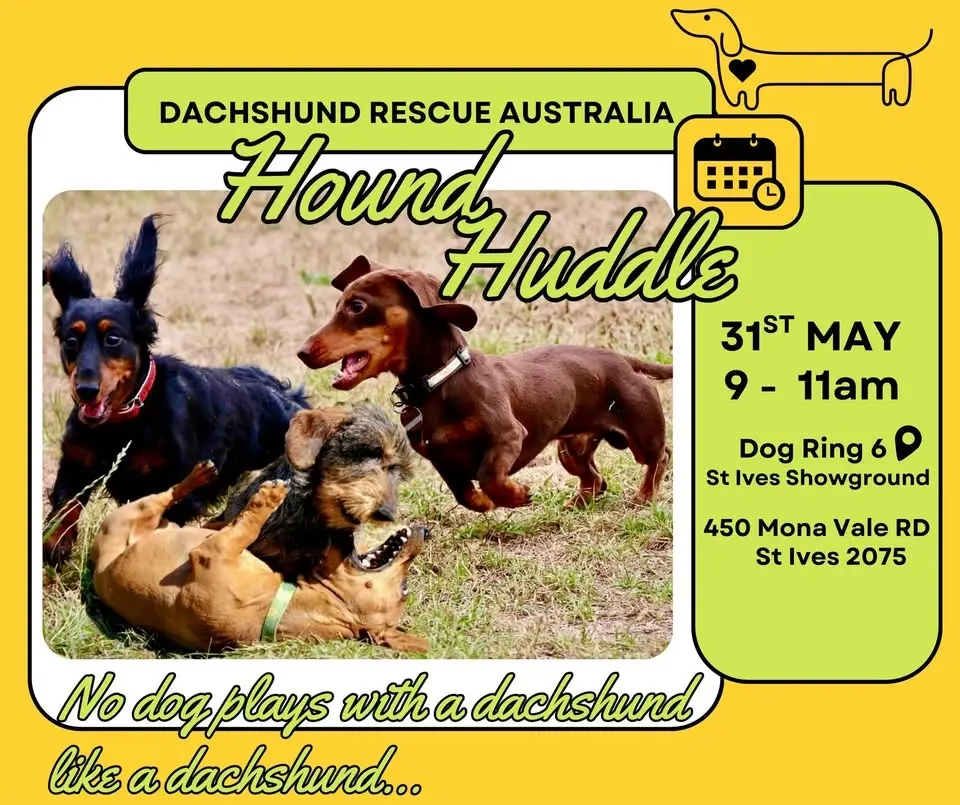 “Hound Huddle”
