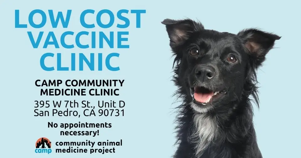 CAMP San Pedro Community Medicine Clinic: Walk-in VaccineClinic 