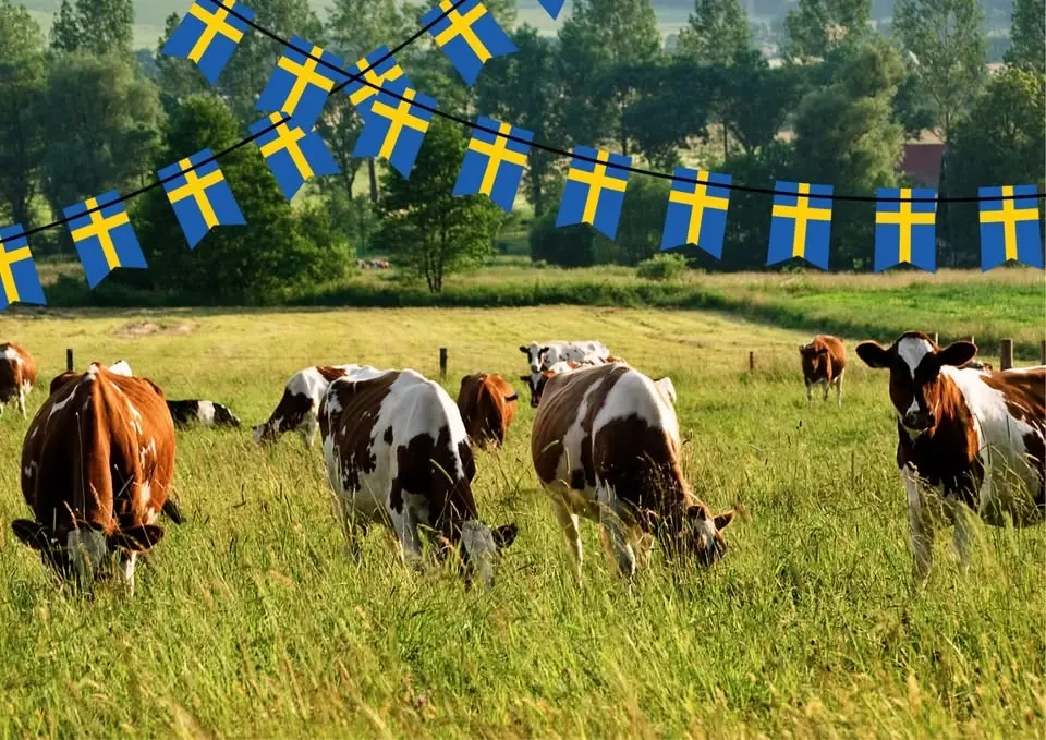 Nationaldagskonsert