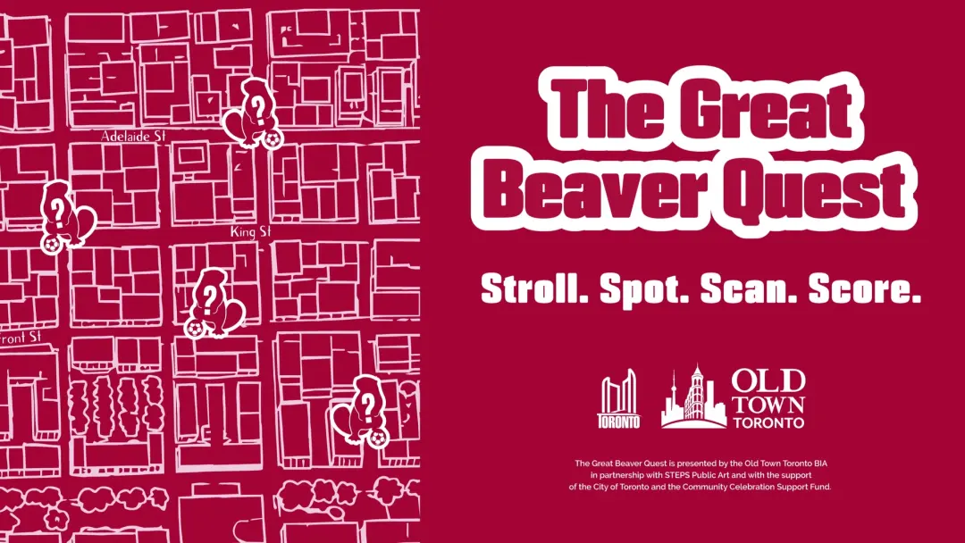 🦫⚽ THE GREAT BEAVER QUEST! ⚽🦫