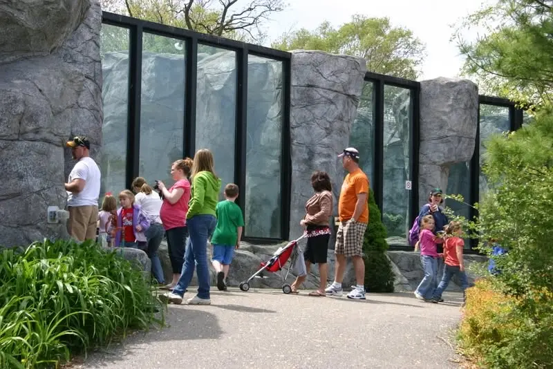 Grandparents Day at the Washington Park Zoo 