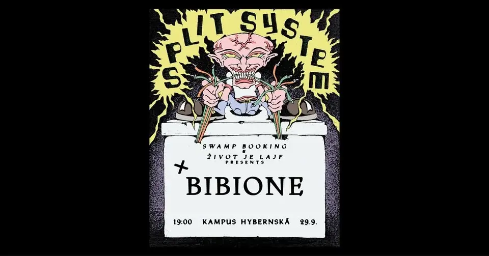 SPLIT SYSTEM + BIBIONE / KAMPUS HYBERNSKÁ