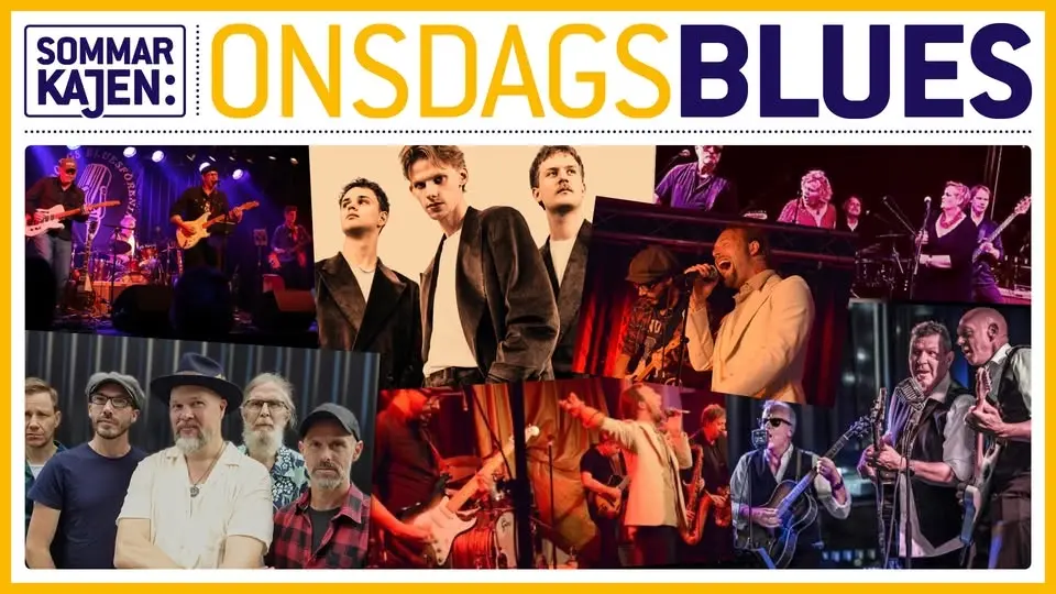 Onsdagsblues med Anton Hultquist Trio