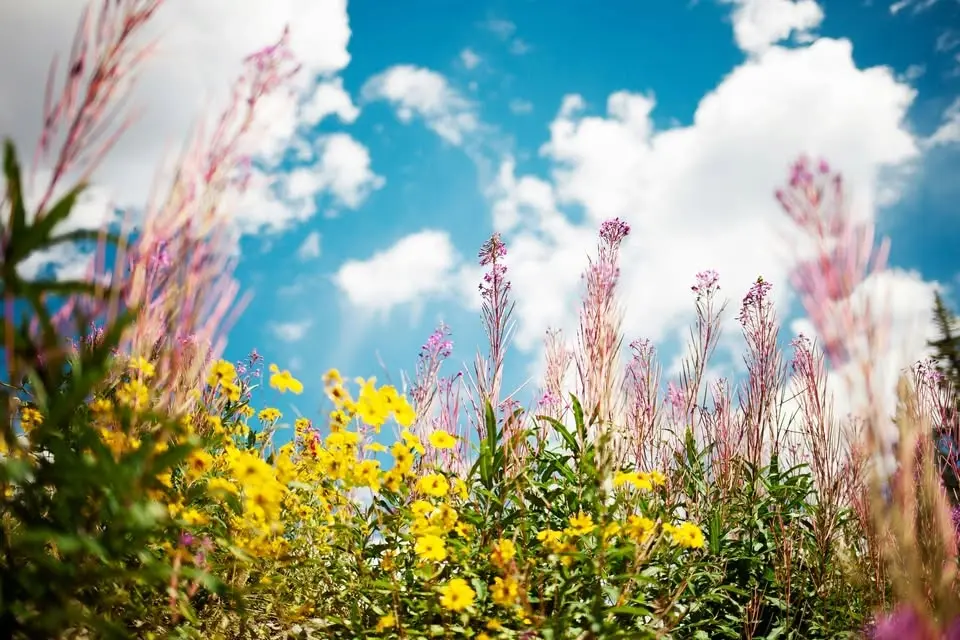 You & Me, Me & You: Exploring Self & Connection Through Buddhist Wisdom & Nonviolent Communication