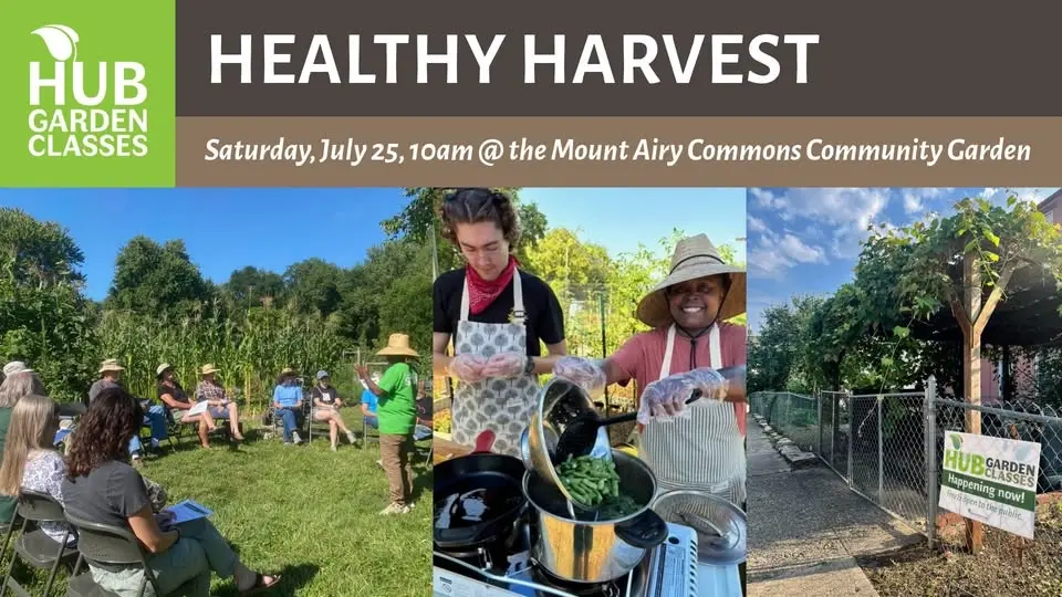 HUB Garden Class: Healthy Harvest @ the Mt. Airy Commons Community Garden