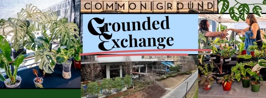 Grounded Exchange: Plants on the Beltline
