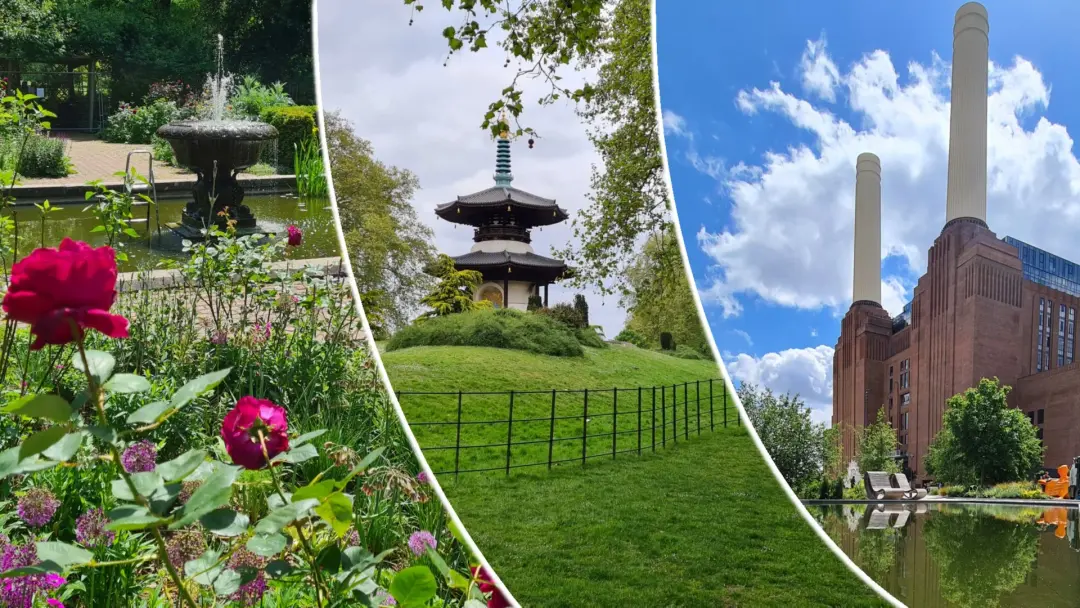 🟢🏞️🚶🏾‍♂️Walk: Battersea Park / Power Station 🏭