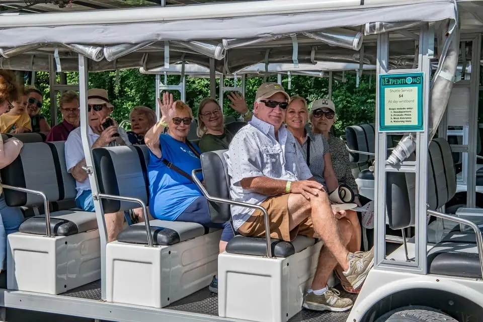 Senior Safari