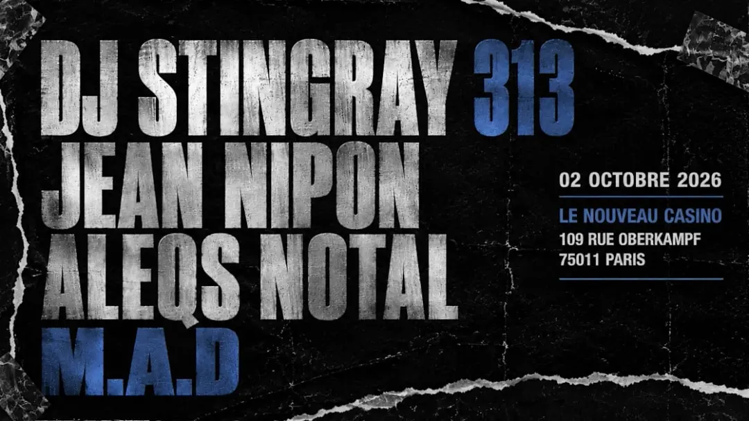 Dj Stingray 313