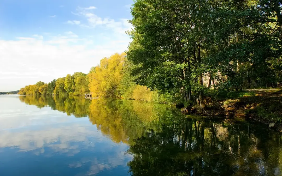 Promenad i gemenskap med Anhörigstöd