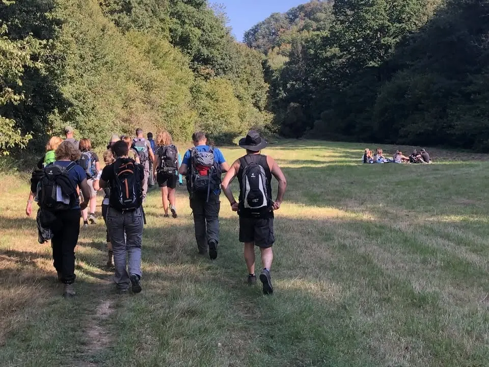 Wanderung durch das Pommerbachtal zum Winzerhoffest in Pommern (Mosel)