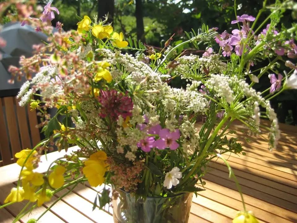 Midsommarfirande i Flyinge!
