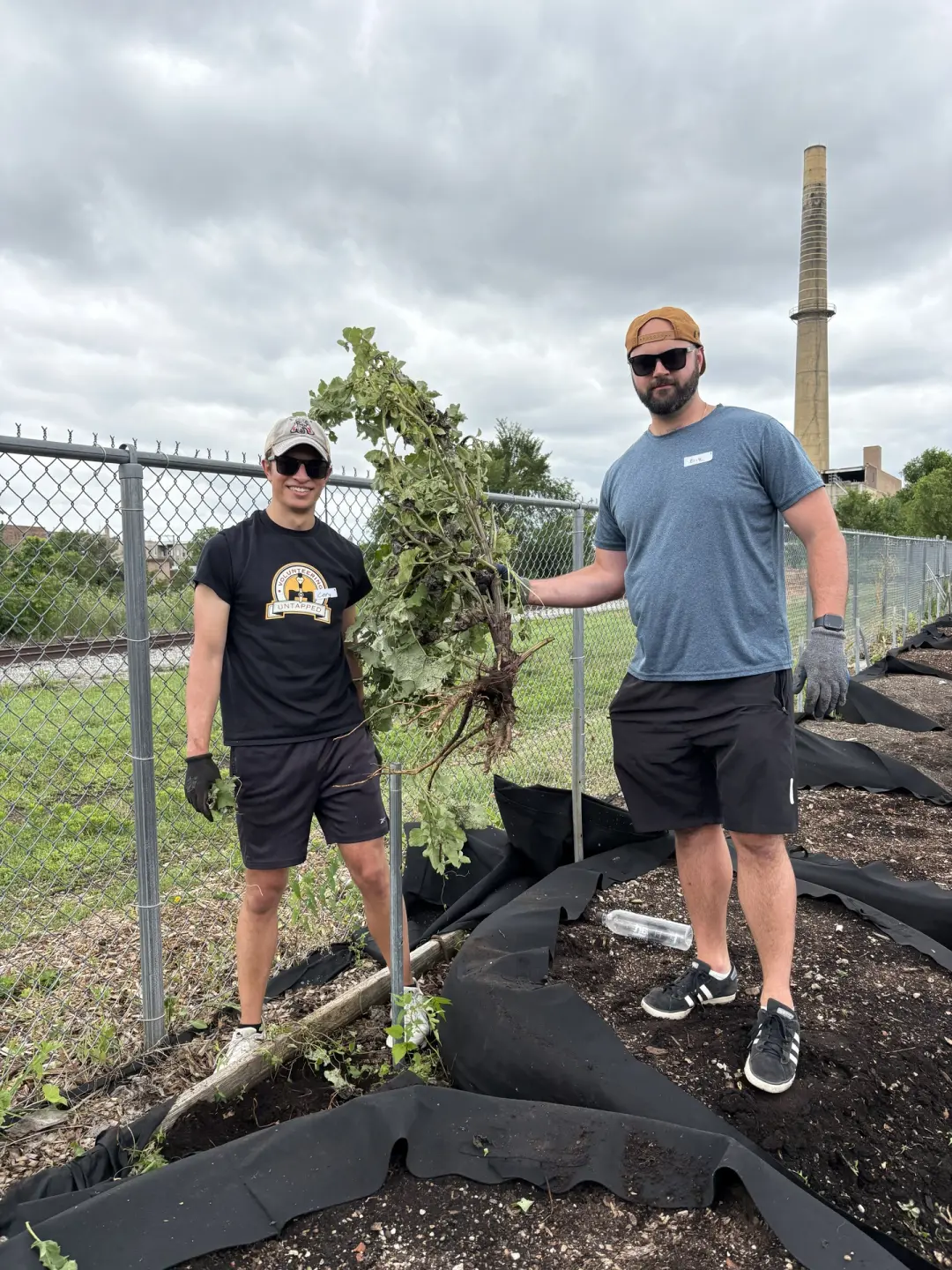 Volunteer with Gardeneers at Homan Rails Farm (Volunteering Untapped Chicago)