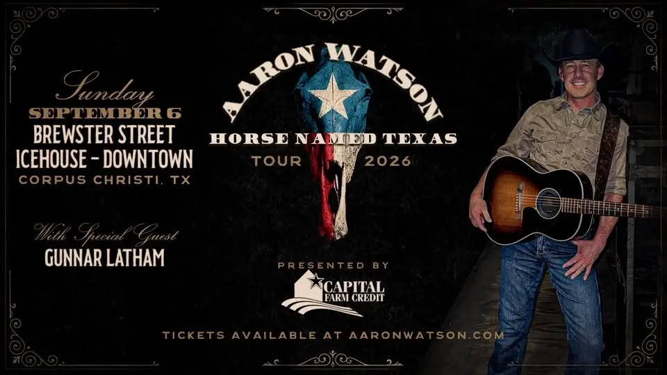 Aaron Watson @ Brewster Street Icehouse (Downtown)