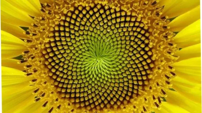 meditation practice