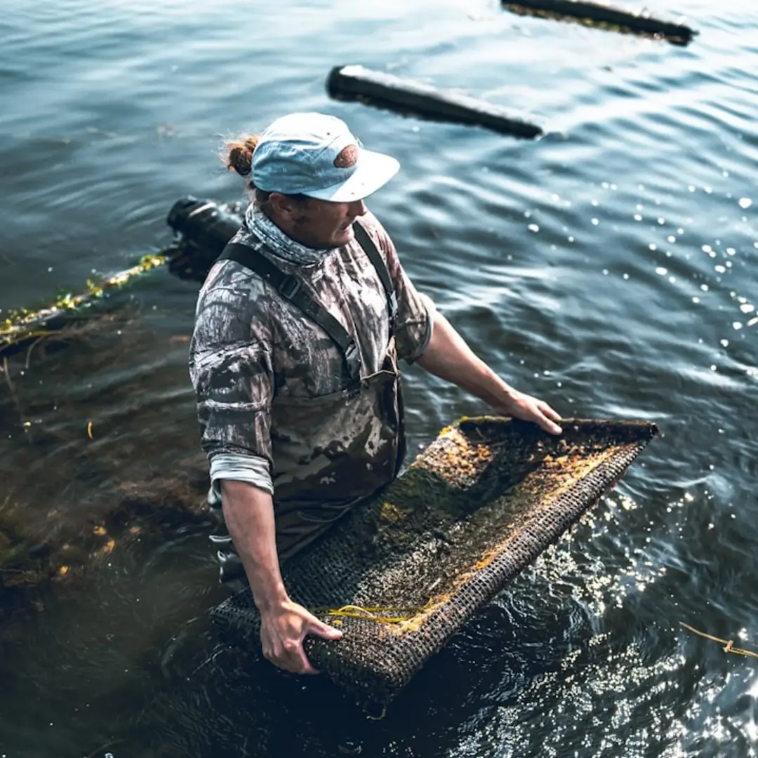 Volunteering Untapped NYC: Billion Oyster Project (August Event)