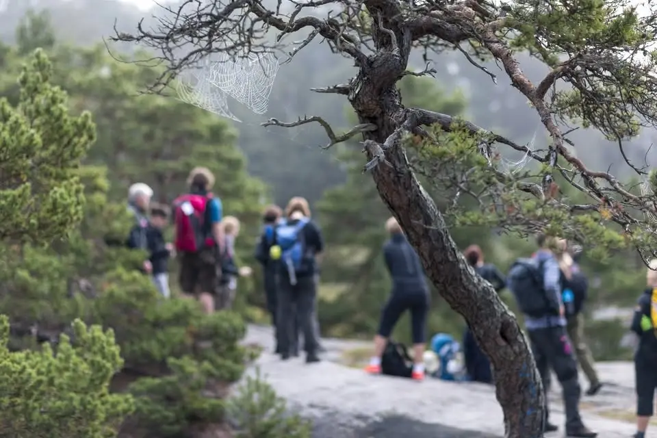 Ledardag på vandring