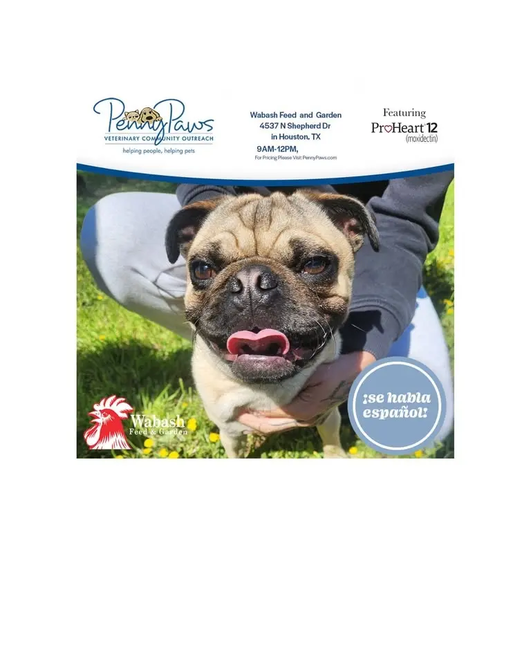 Low Cost Pet Vaccines @ Wabash Feed & Garden