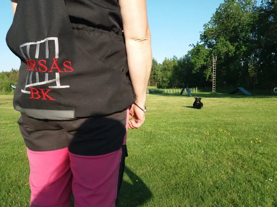 Inofficiell kvällsutställning 24 juli kl 18
