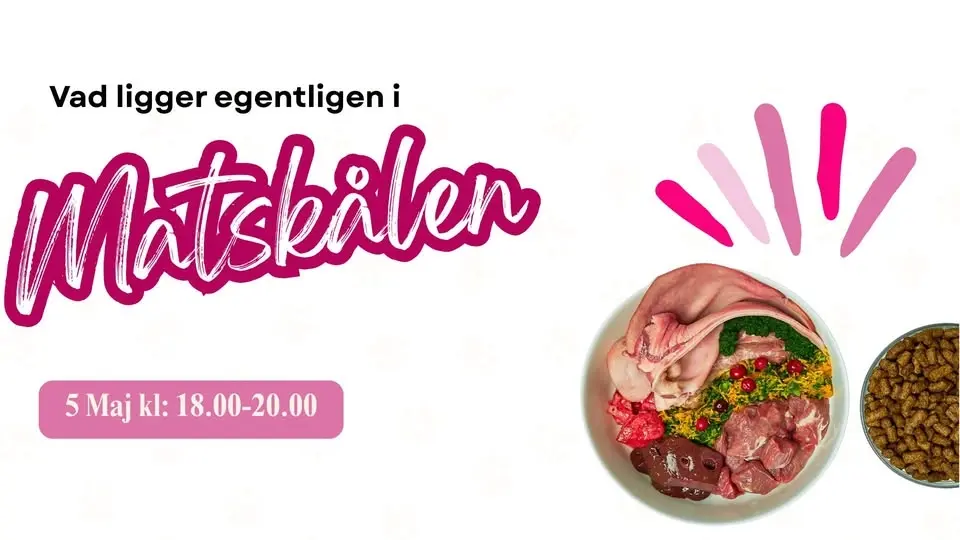 Föreläsning - Vad ligger egentligen i matskålen?
