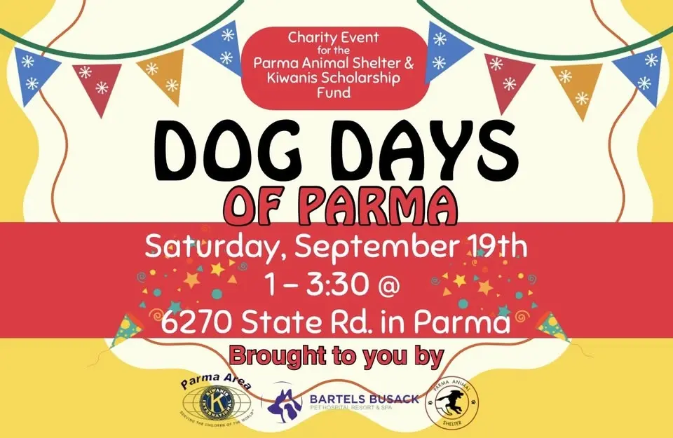 Dog Days of Parma