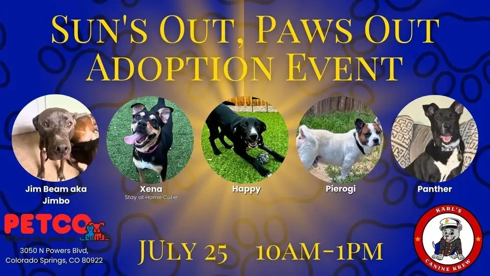 🐾 KCK: Sun's Out, Paws Out Adoption Event 🐾