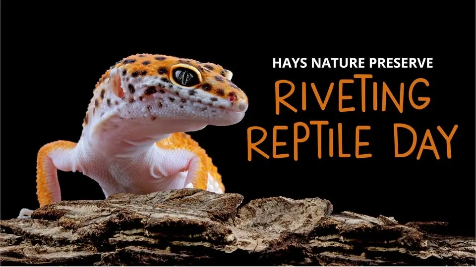 Riveting Reptile Day