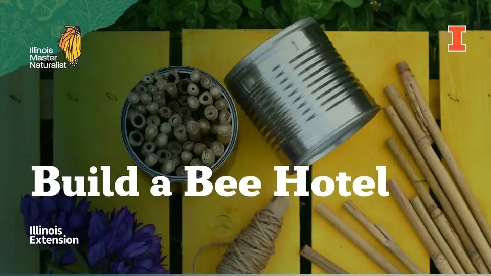Build a Bee Hotel