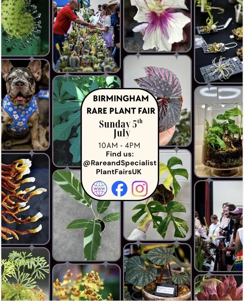Birmingham Rare Plant Fair  