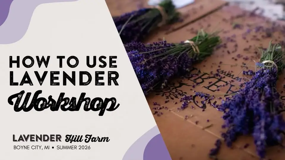 How to Use Lavender Workshop