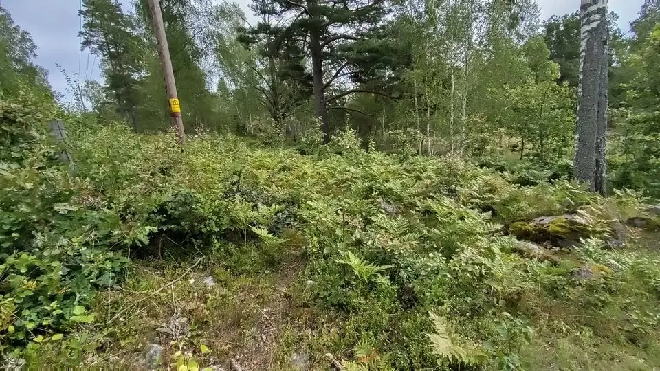 AKTIVITETSDAG FÖR BIOLOGISK MÅNGFALD i RÖLLINGBY BACKAR