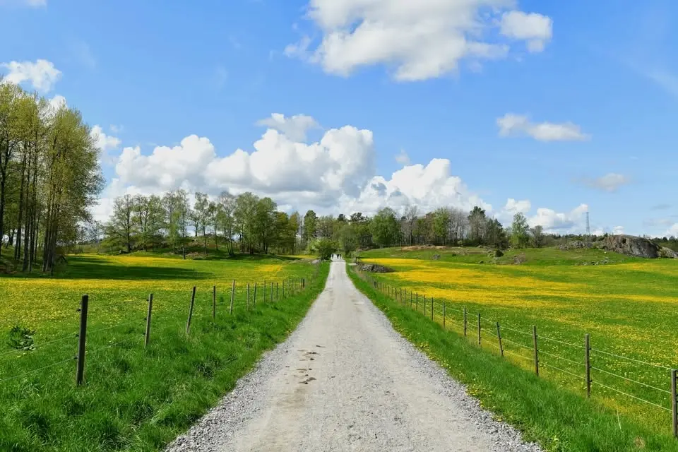 Folkmusik från Tornedalen till Skåne