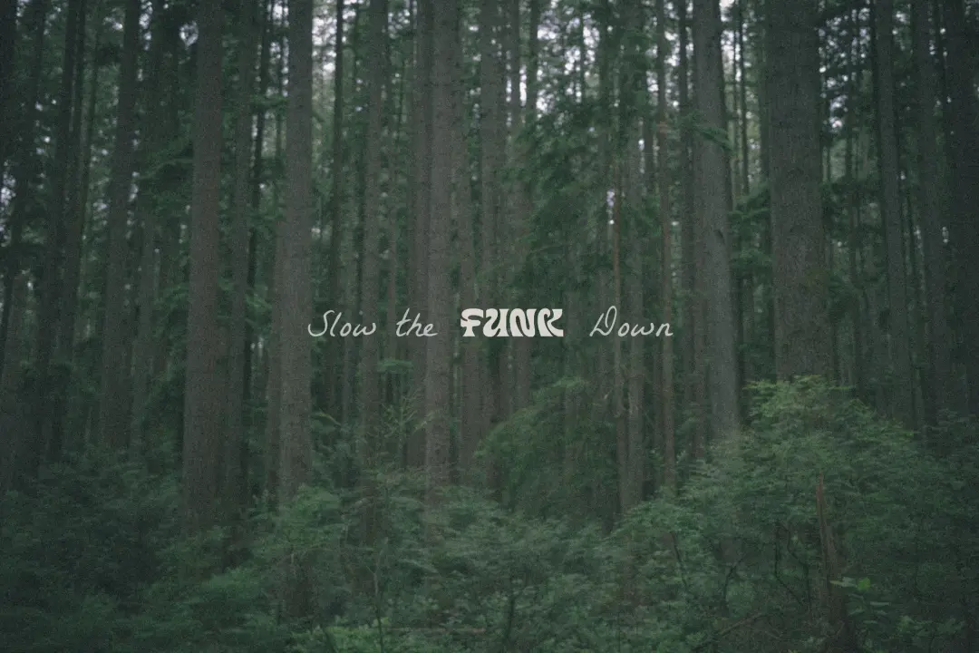 Slow the Funk Down - Funk x Yeoyu