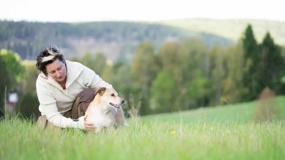 Rädsla hos hund: STHLM workshop