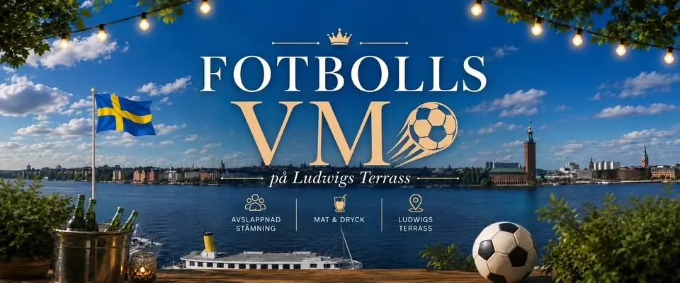 Fotbolls-VM: Sverige - Japan på Ludwigs Terrass
