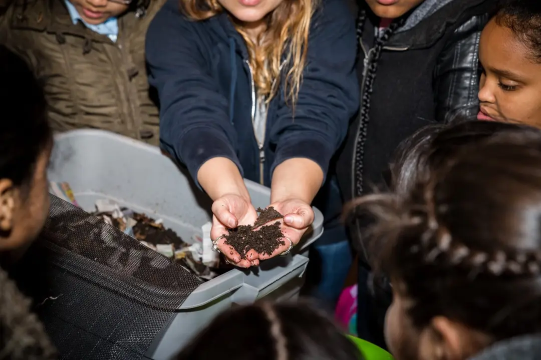 Vermicomposting: Worm Bins 101