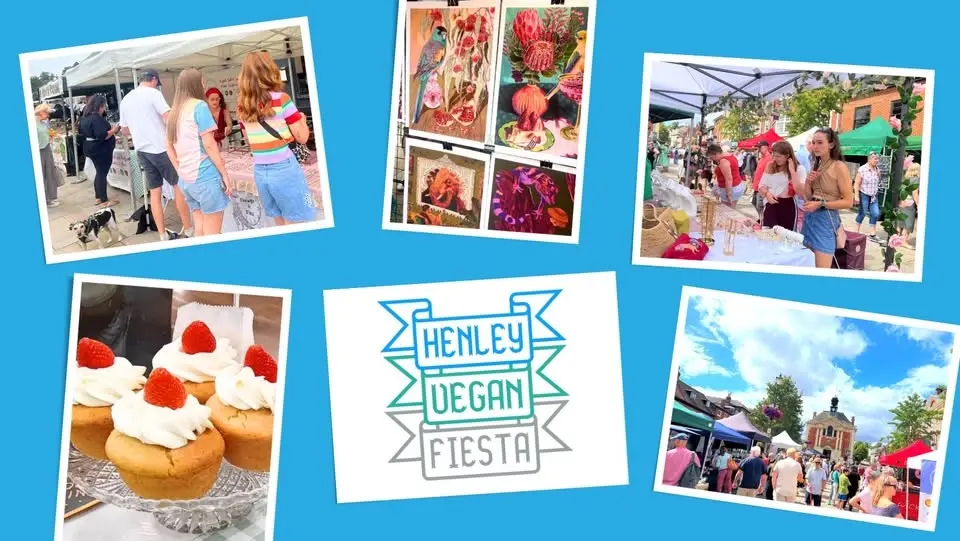 Henley Vegan Fiesta
