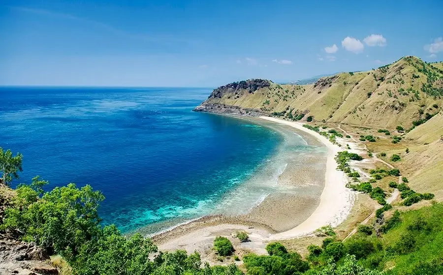 Timor leste dive trip.  8-15th November  2 spots left 