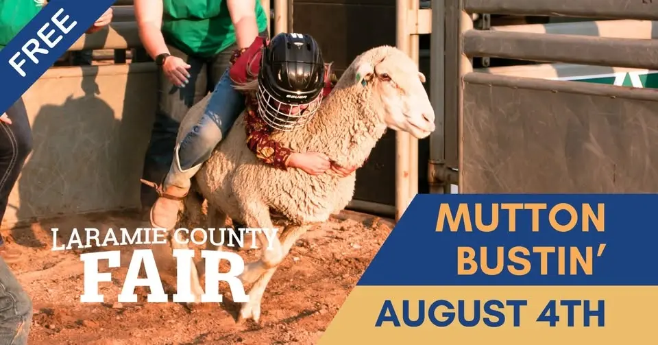 Laramie County Fair Mutton Bustin'