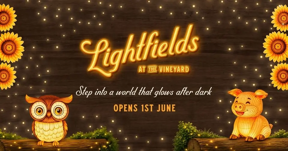 Lightfields | Glows After Dark | Opening 1st June