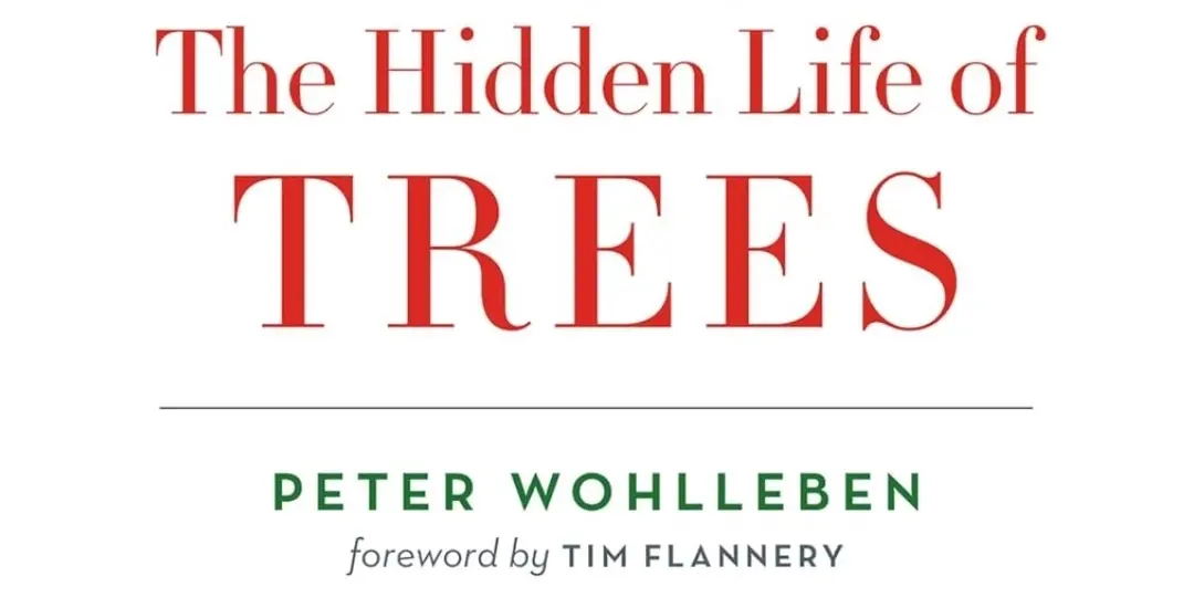 The Hidden Life of Trees