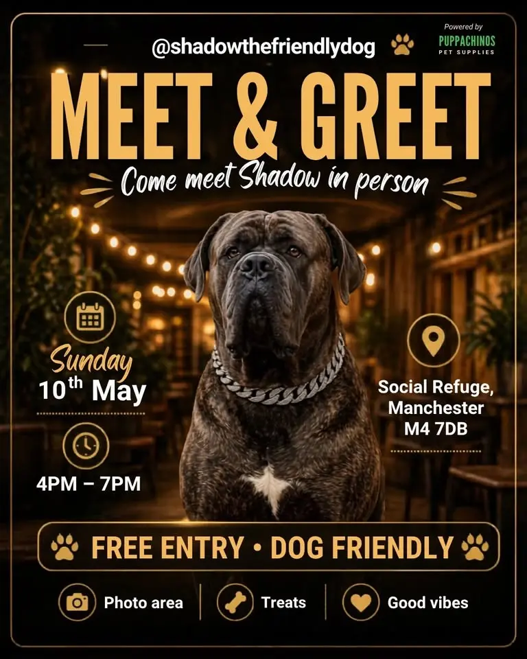 Shadowthefriendlydog Meet & Greet 📍Manchester!